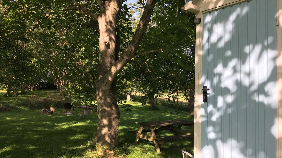 Airbnb heeft er een kampeerzusje bij: Campspace. Het onlineplatform biedt kampeerders de kans om bijvoorbeeld gewoon in iemands tuin te overnachten. Of om je tuin aan te bieden als kampeerplek. Saskia op de Weegh uit Nijbroek heeft plek voor één tent in haar boomgaard.