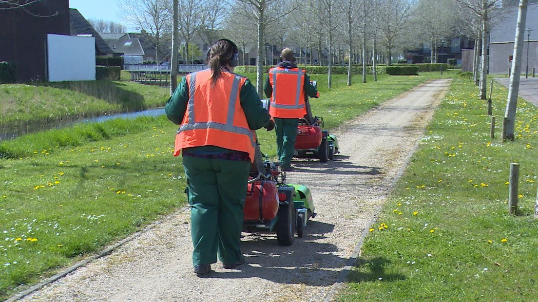 Onkruid in Zierikzee weggeborsteld en geblazen