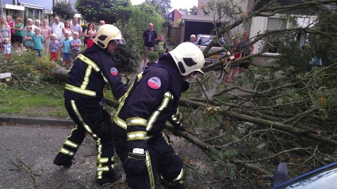Boom omgewaaid aan Nico Maasstraat Hengelo