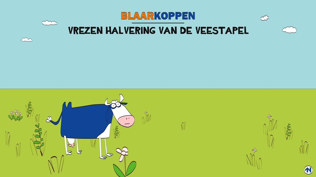 Blaarkoppen