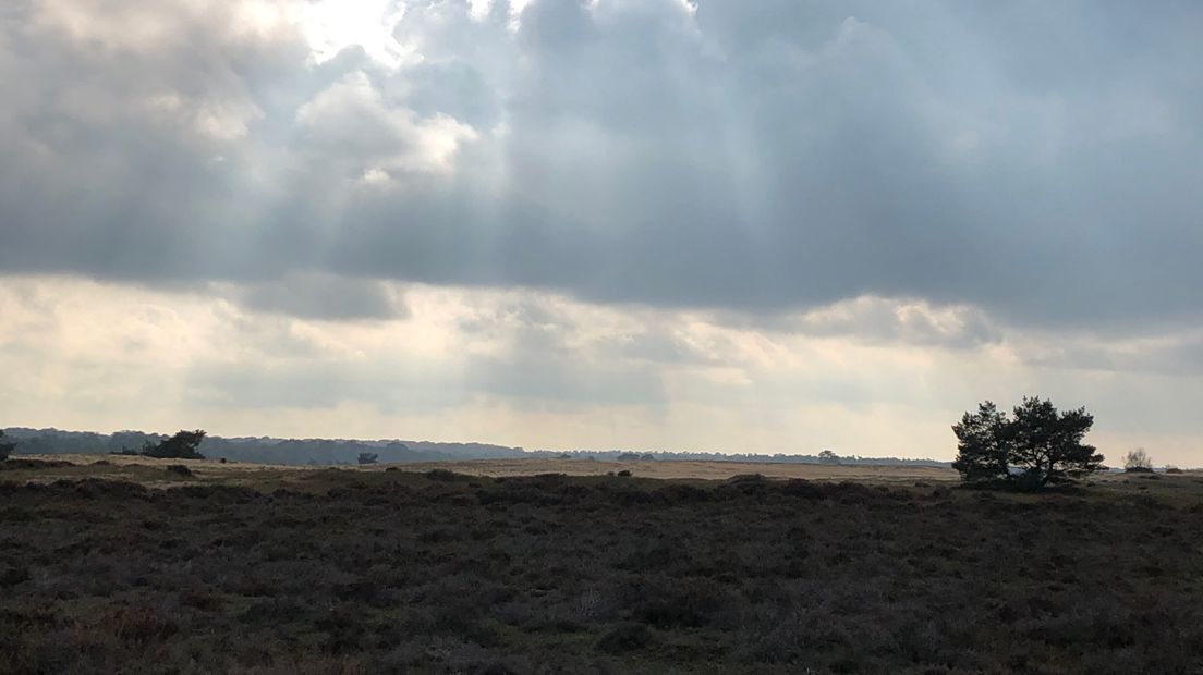 Blije reacties bij organisaties op en rond Nationaal Park De Hoge Veluwe nu het park genoemd is als een van de topattracties door de toonaangevende reisgids Lonely Planet. De gids noemt de schilderachtige landschappen, museum Kröller-Müller met de schilderijen van van Gogh en het grote wild redenen voor reizigers om komend jaar zeker een bezoek te brengen aan de Hoge Veluwe.