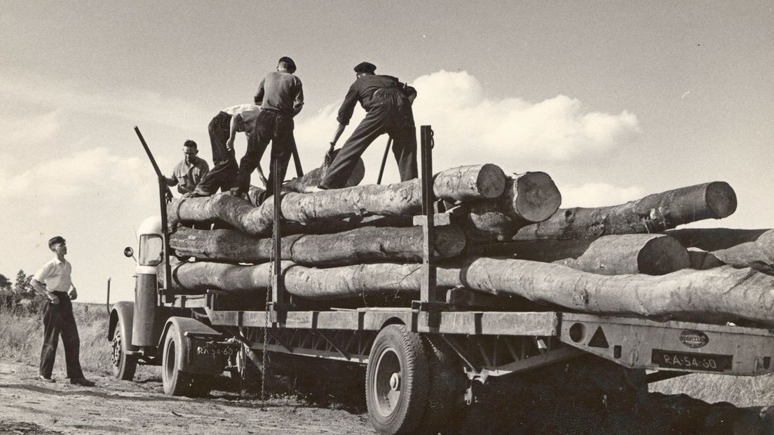 bomen lossen bij Faber, Assen