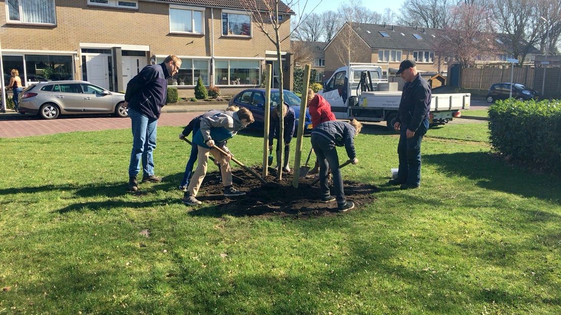Nationale Boomfeestdag in Rijssen-Holten