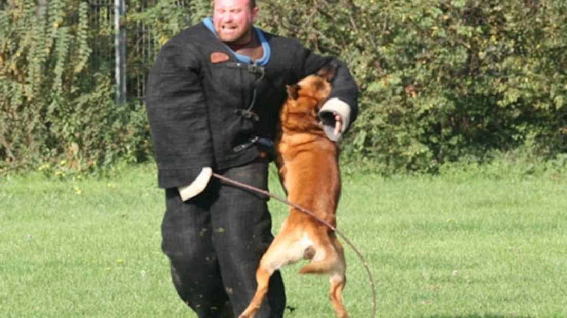 politiehond in actie
