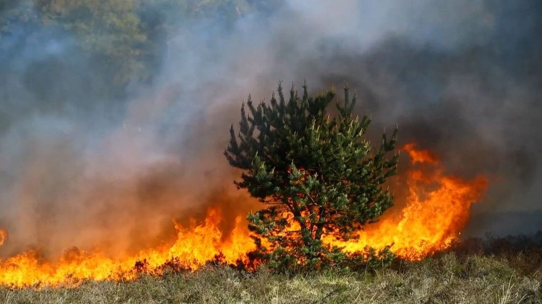 Brandweer vraagt hulp, zo voorkom je een natuurbrand