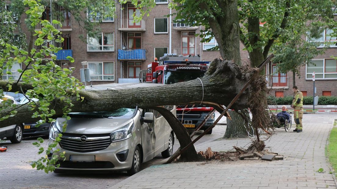 Een boom is op een busje terechtgekomen op de Vrederustlaan in Den Haag.