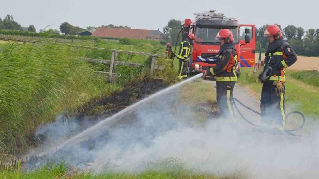 De brandweer wist door snel ingrijpen te voorkomen dat de bermbrand zich verder verspreidde.