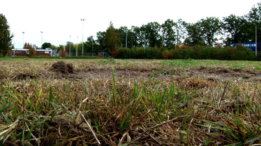 Gewoon weer op echt gras