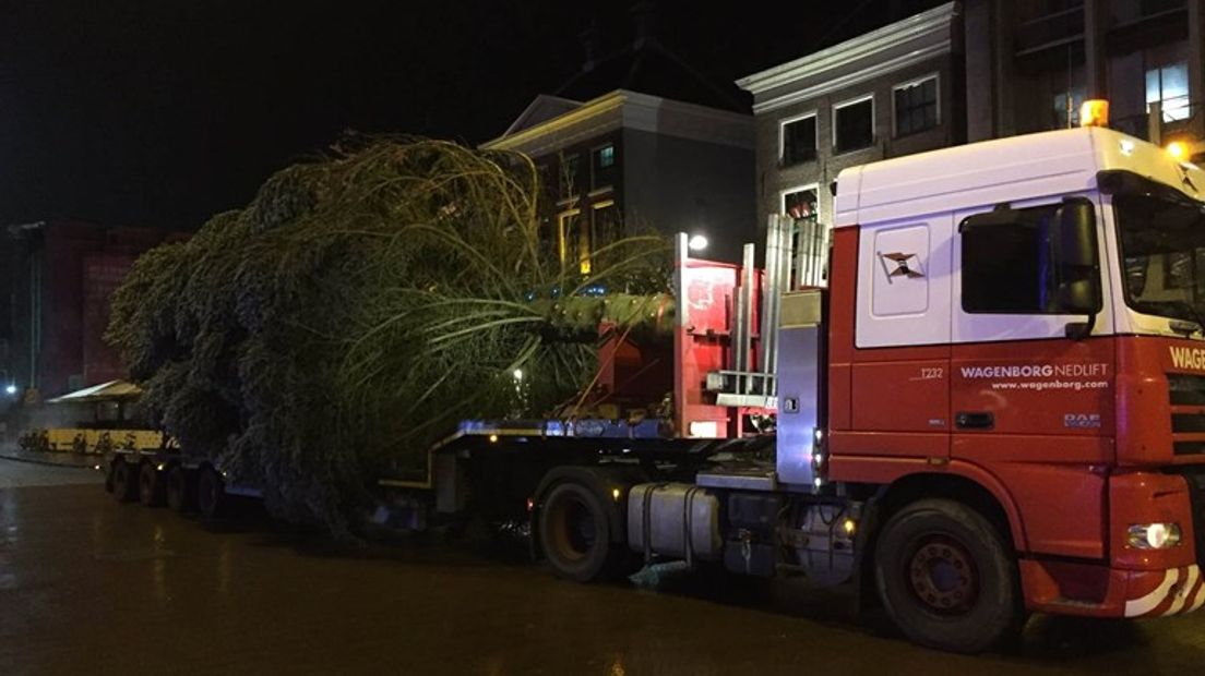 De kerstboom op de Grote Markt in Groningen komt dit jaar uit Borger (Rechten: RTV Noord / archief)