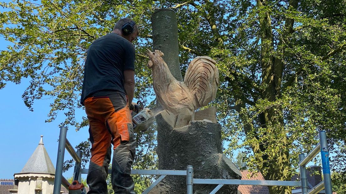Kettingzaagkunstenaar maakt kunstwerk Dierenweide Maartensdijk - RTV Utrecht