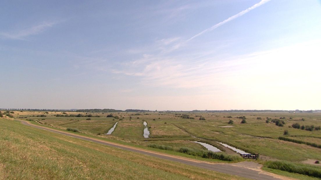 De Yerseke Moer, voorbeeld van een gebied dat veranderd is door menselijk ingrijpen
