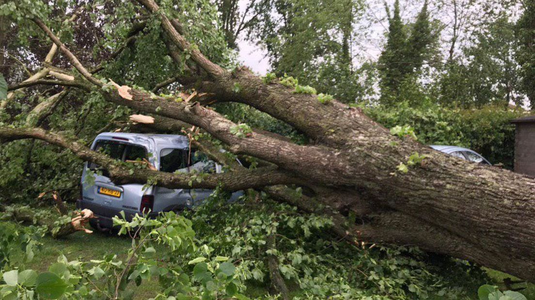 Na drie jaar wordt de stormschade in Noordenveld eindelijk hersteld - Vimarsana News
