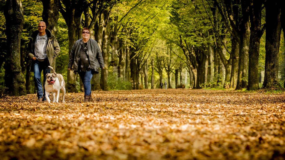 Men is welkom bij Natuurmonumenten, mits de hond aan de riem zit.