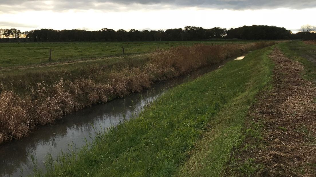 Een beekje aan de rand van het Dwingelderveld dat bijna droog staat (Rechten: RTV Drenthe / Jeroen Willems)