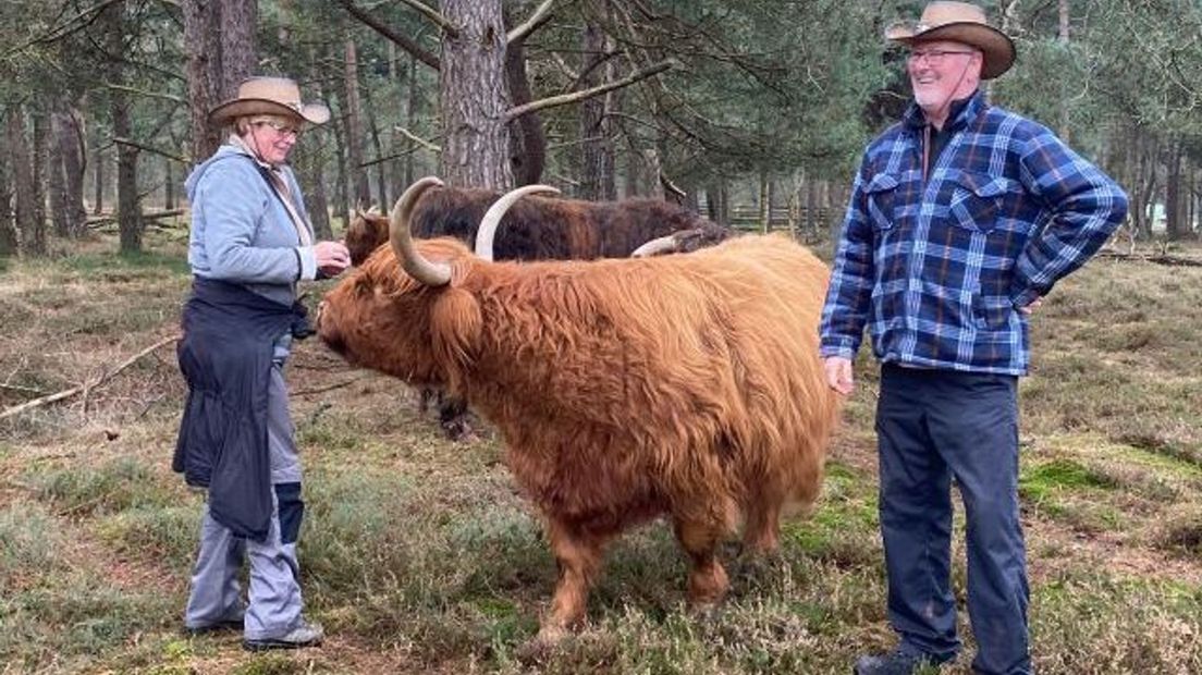 Schotse Hooglanders krijgen een extraatje
