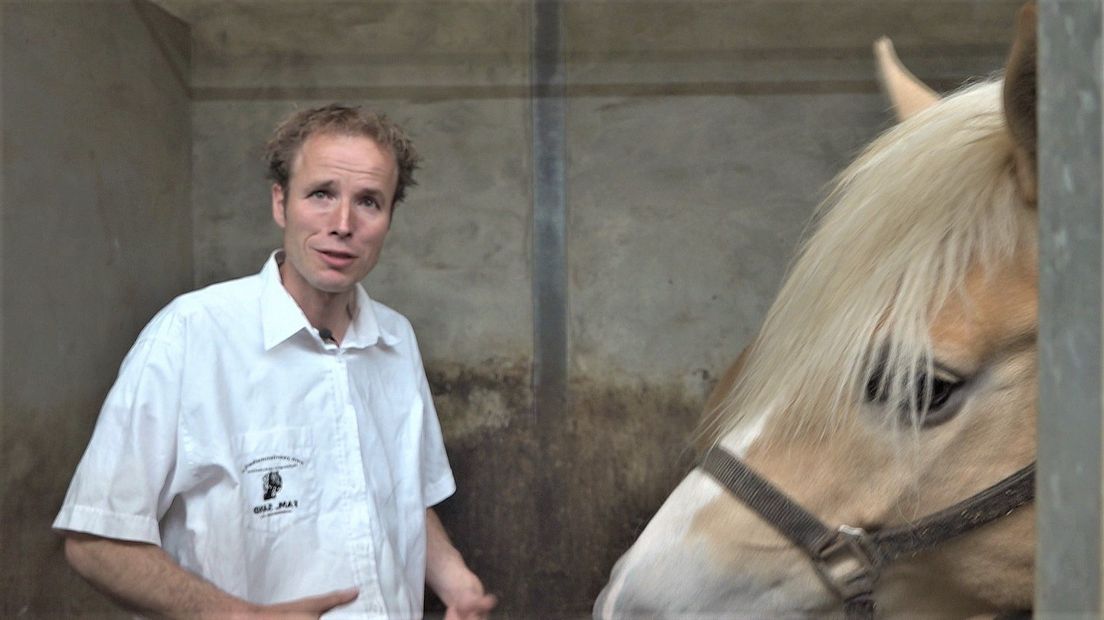 Arjan Sand is paardenmelker in Harbrinkhoek