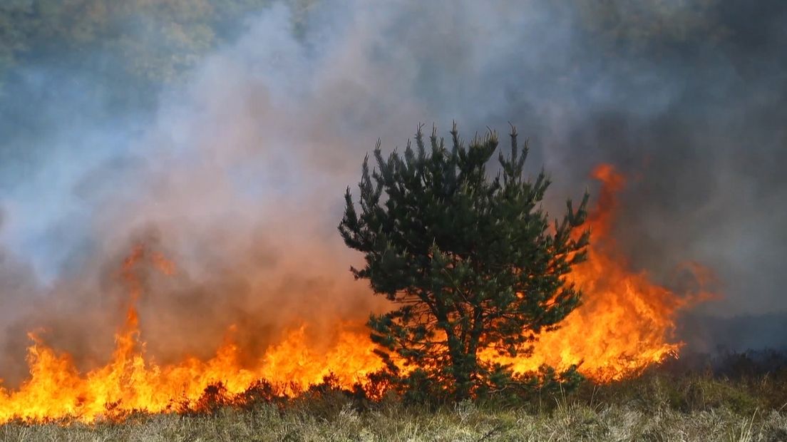Langdurige droge, hete periodes betekent: meer kans op natuurbranden. Ook hier in Gelderland. Hoe we het beste om kunnen gaan met bos-, heide- en bermbranden, dat wordt internationaal onderzocht onder leiding van de Wageningen Universiteit. De Europese Unie steekt vier miljoen euro in een project om meer experts te trainen om natuurbranden te bestrijden.