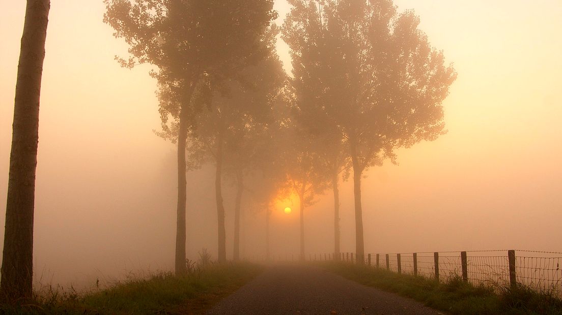 Mistige zonsopgang