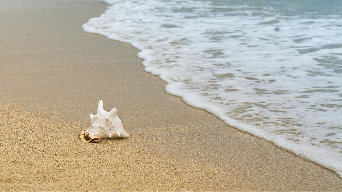 Lekker uitwaaien op het strand kan natuurlijk ook