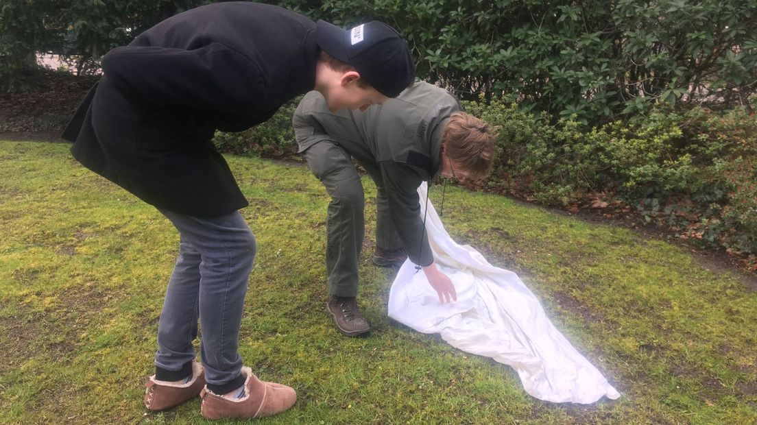 Op zoek naar de teek in Lage Vuursche.