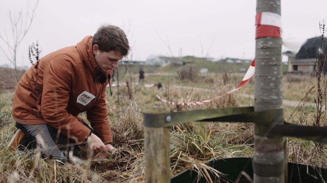 De jongerenbeweging van de Partij van de Dieren nam het initiatief om de bollen te poten