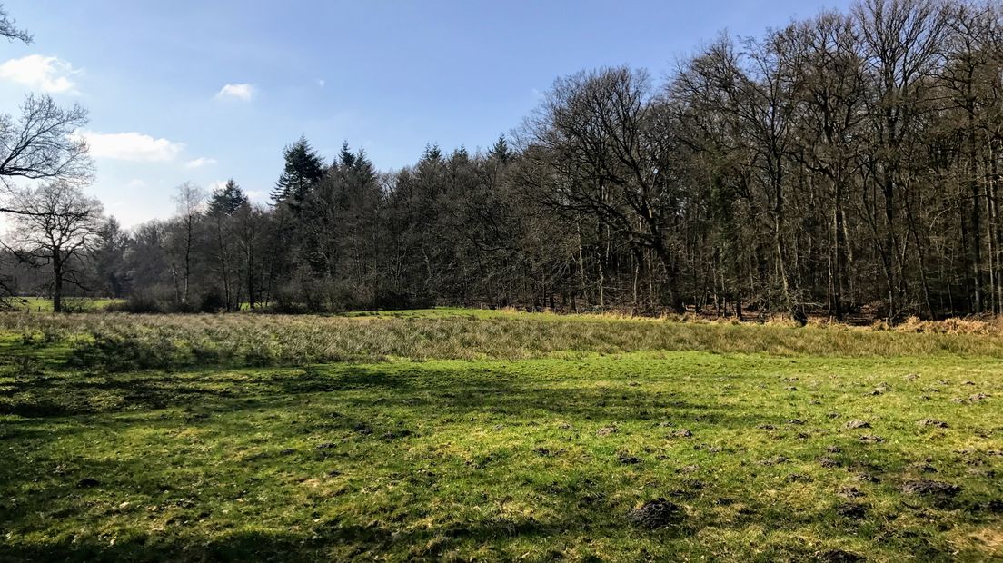 Iedere zondagochtend tussen 7.00 en 10.00 uur struint verslaggever Laurens Tijink door de Gelderse natuur. Deze zondagochtend leidt Gerard Heemskerk, educatief boswachter van Geldersch Landschap en Kastelen, Laurens rond op de witte pauwenburcht: Landgoed Staverden.
