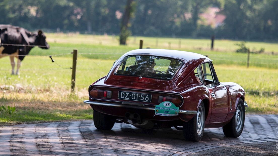 Miglia Daventria 2018