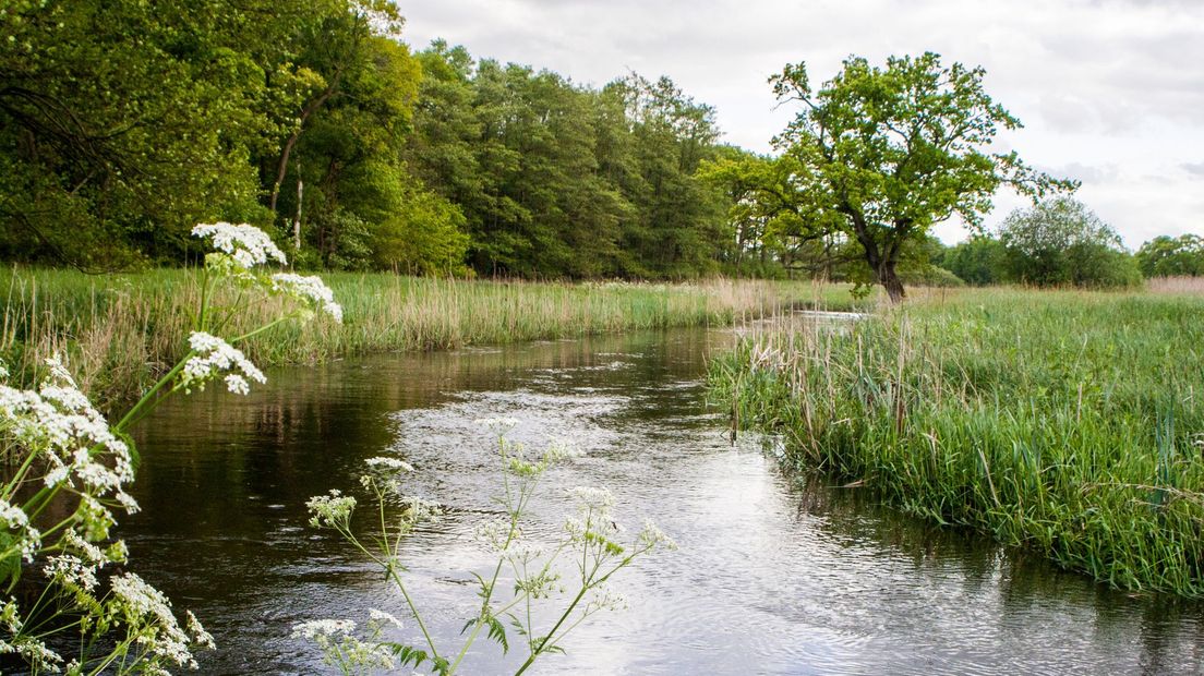 Op pad in de Drentse natuur: Zeegse - RTV Drenthe