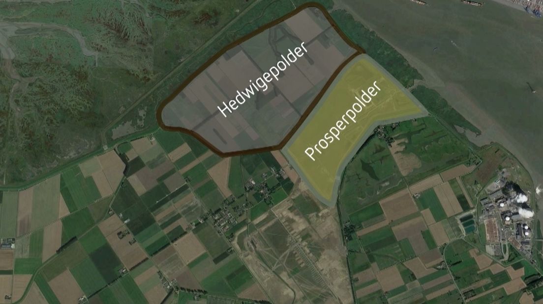 De Hedwigepolder en Prosperpolder