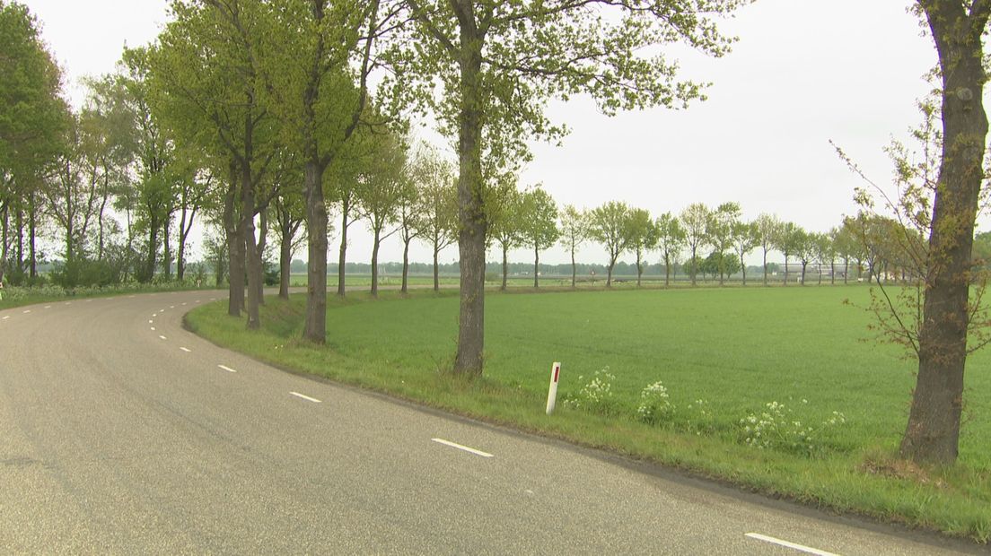 Het ongeluk gebeurde vlak voor deze bocht aan de Dommerswijk in De Krim