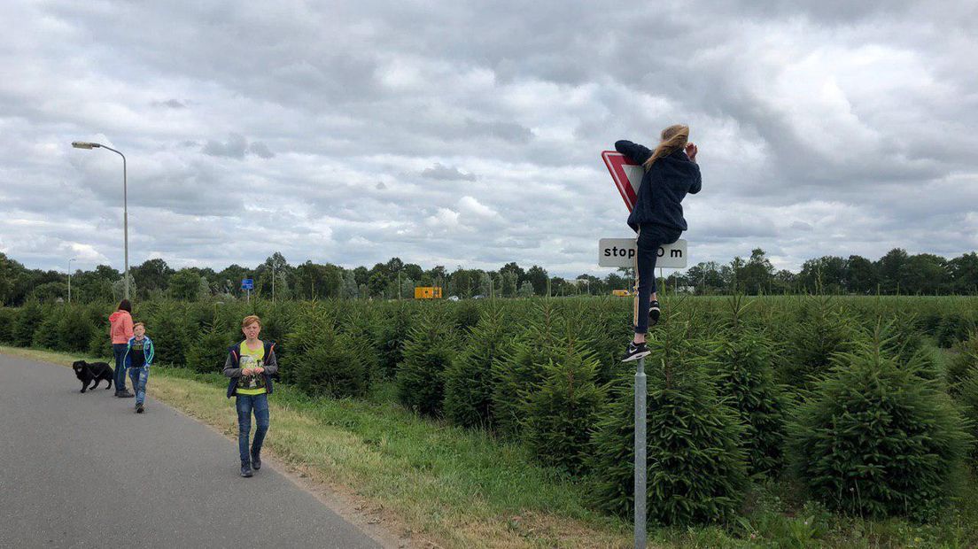 De zoektocht naar de ontsnapte wallaby uit Epe heeft eindelijk resultaat opgeleverd. Maandag rond de klok van 22.00 uur werd het dier gevangen en weer terug naar de kinderboerderij gebracht.