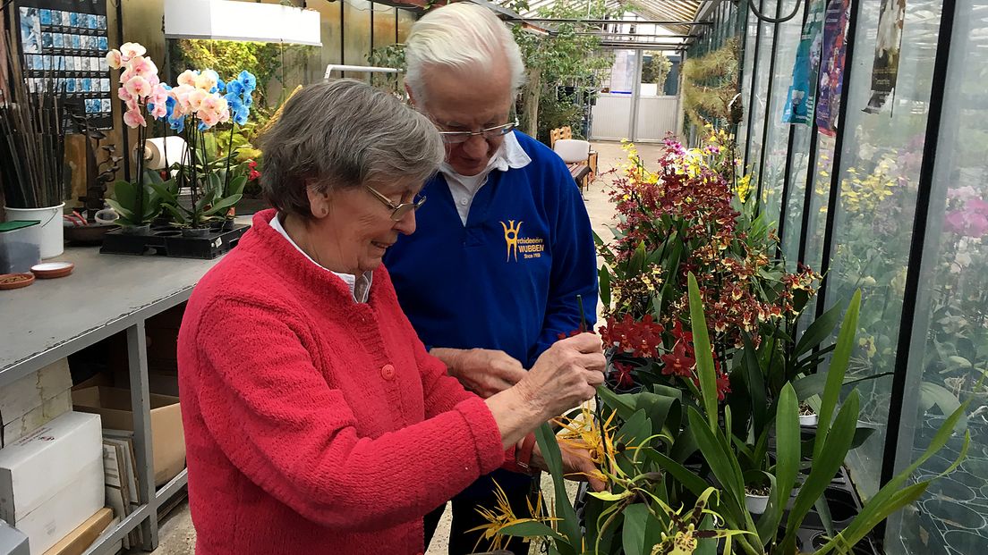 Wubben en zijn vrouw vieren niet alleen een orchideeënjubileum, maar zijn dit jaar ook 60 jaar getrouwd.