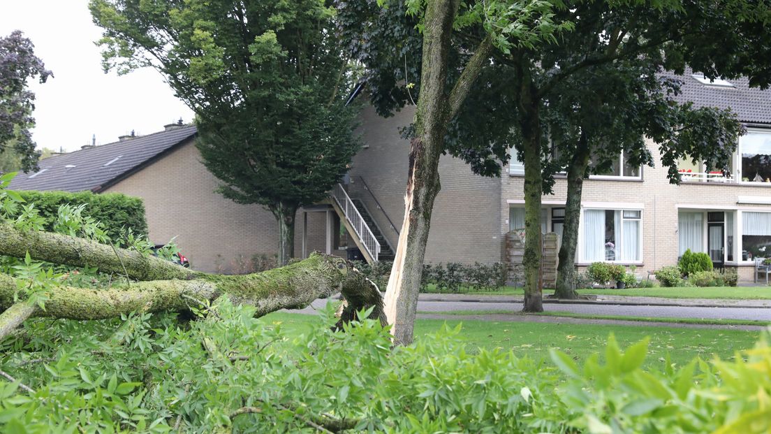 In Baarn viel een boom over de De Withlaan.