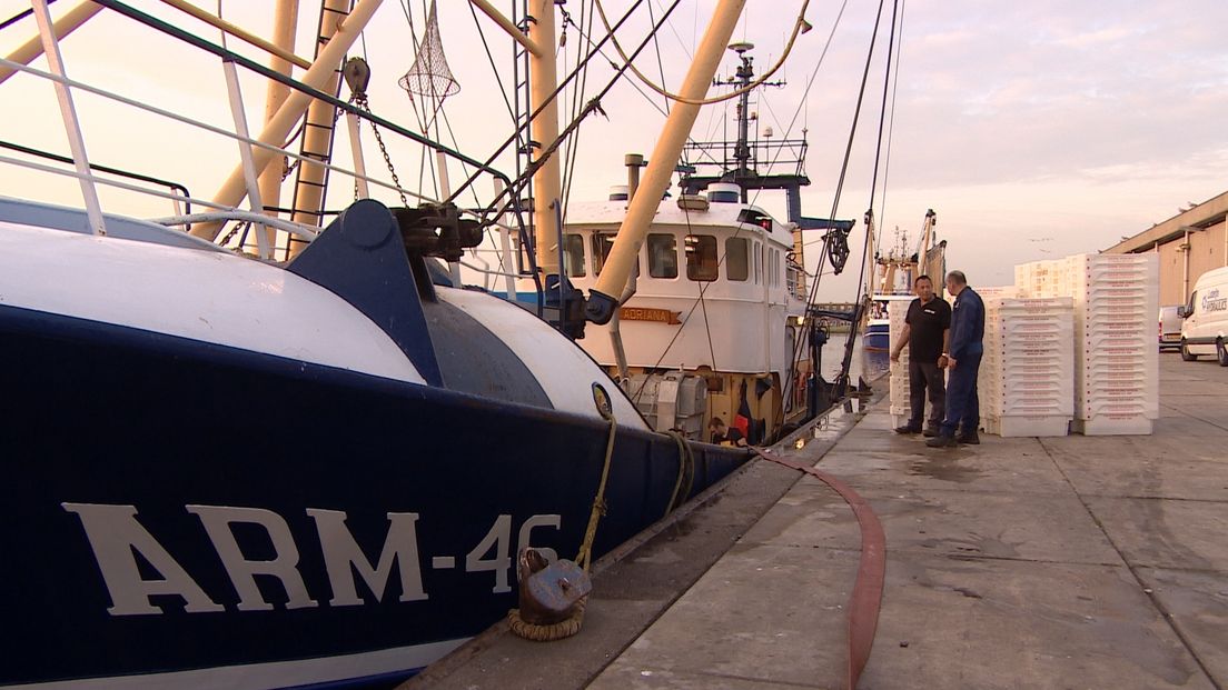 Zeeuwse vissers voeren actie in Rotterdam