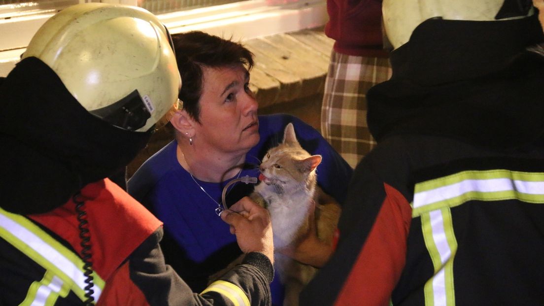 Katten gered bij brand Oost-Souburg