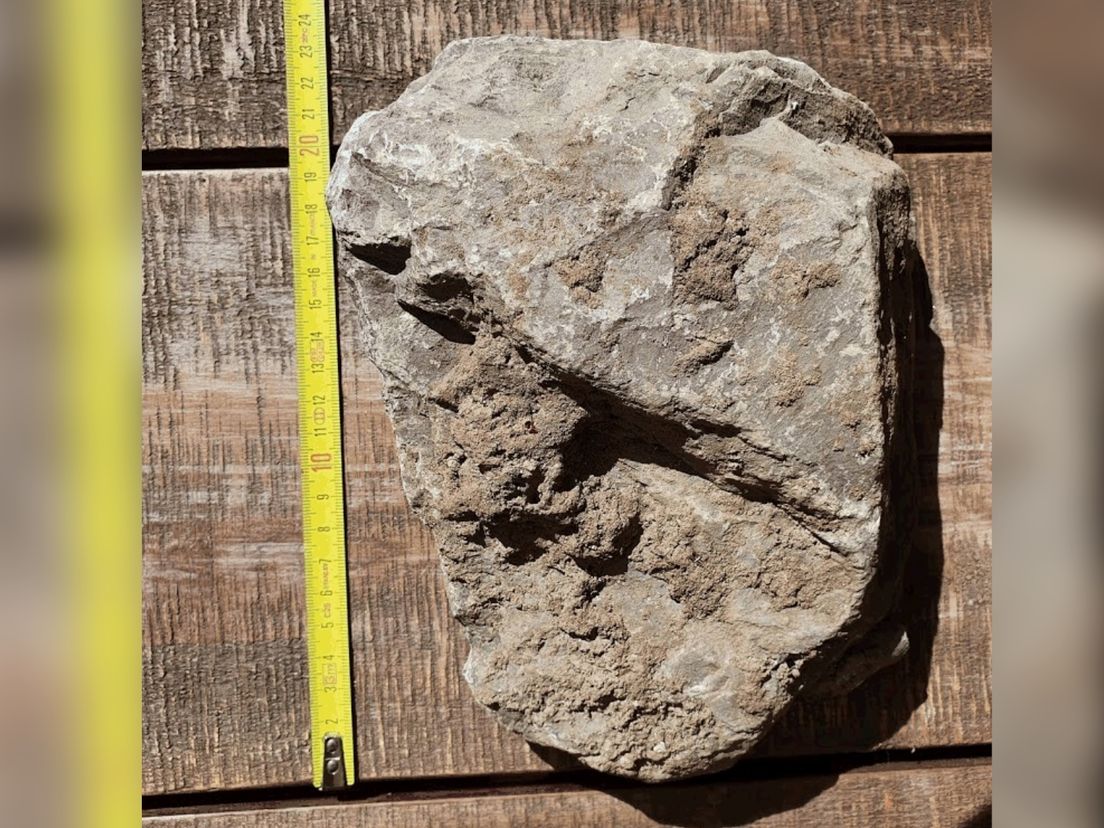 De steen van 25 cm.