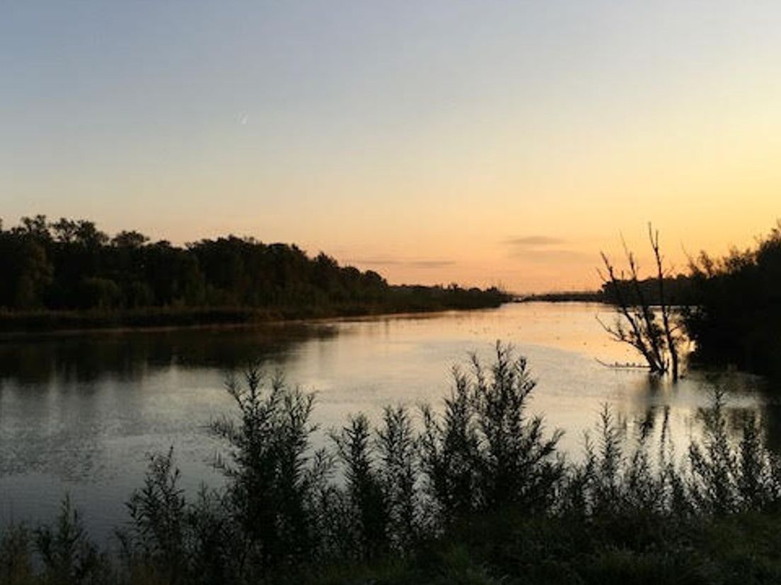 De Biesbosch spreekt tot de verbeelding