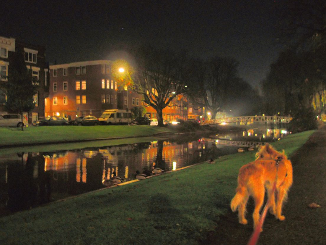 Even achter de computer vandaan om de hond uit te laten