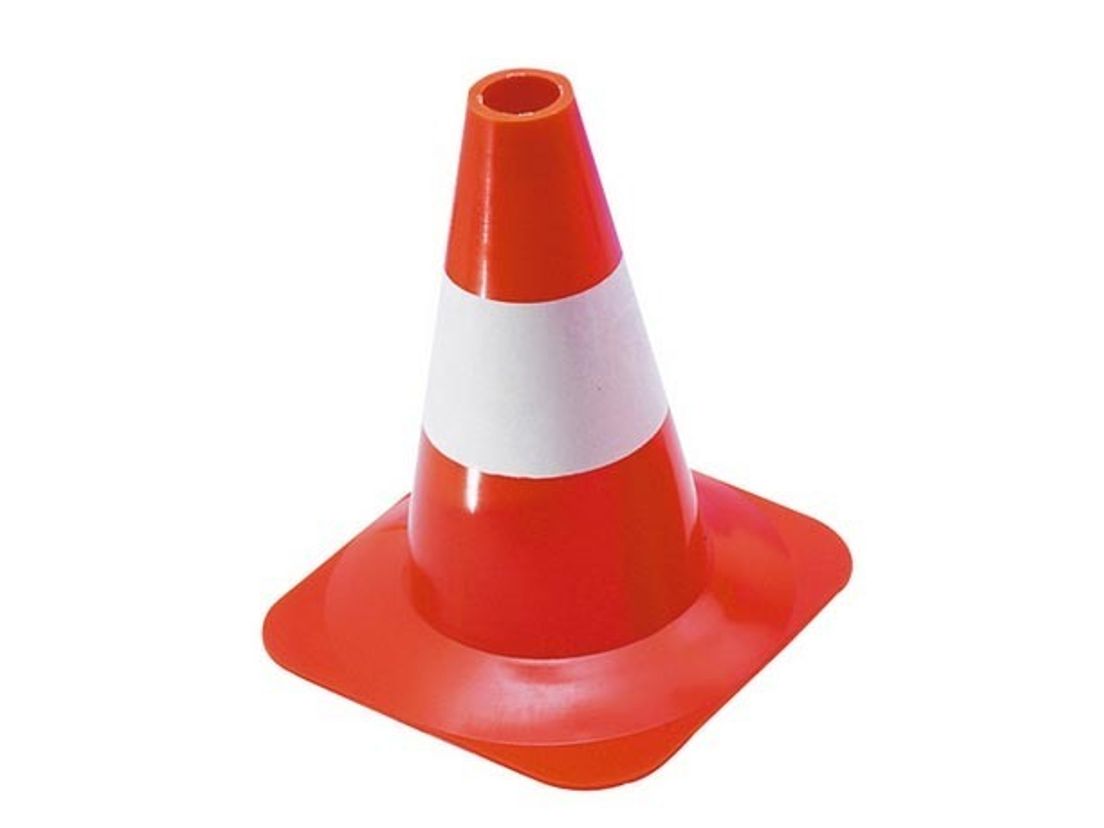pion.cropresize.tmp.jpg