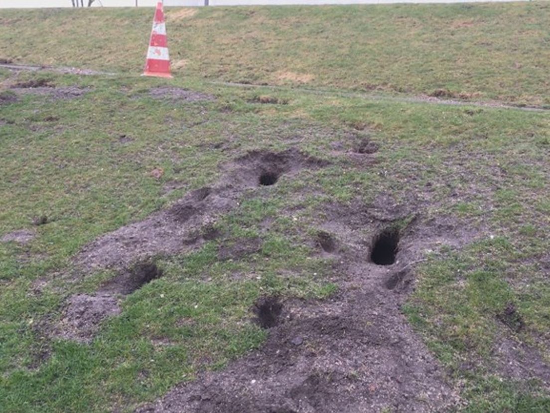 De konijnen zorgden voor grote tunnels in de grond