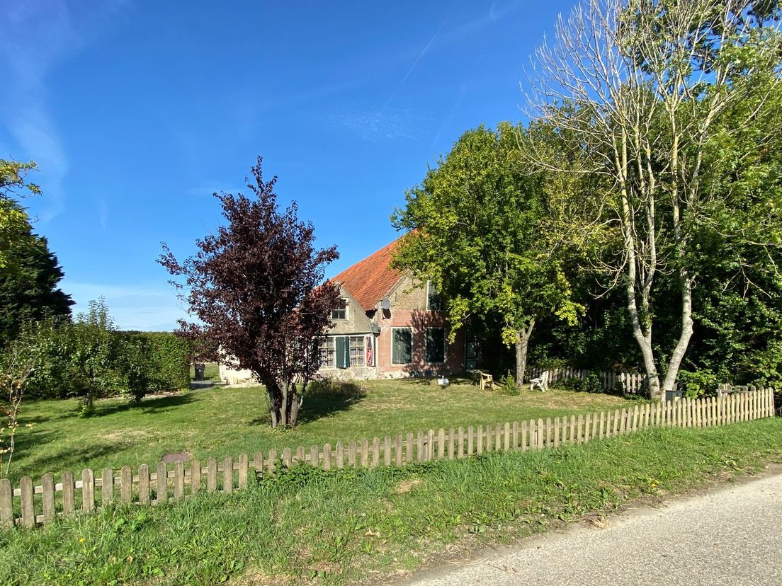 De Kwakstee