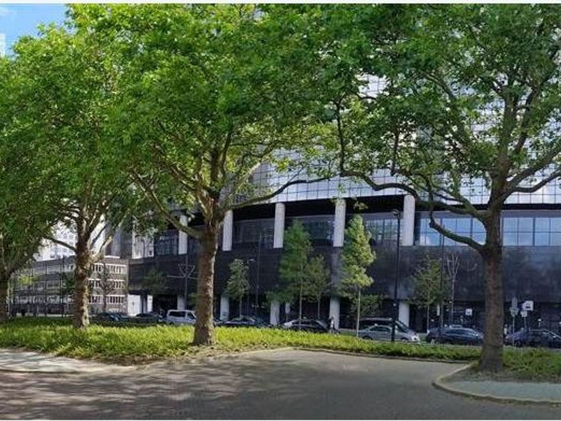 Rotterdam mag zeven platanen op het Delftseplein niet kappen, maar wil ze nu verplaatsen