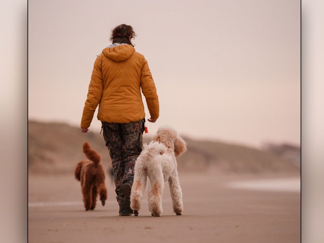 Het hondenstrand in rustiger tijden
