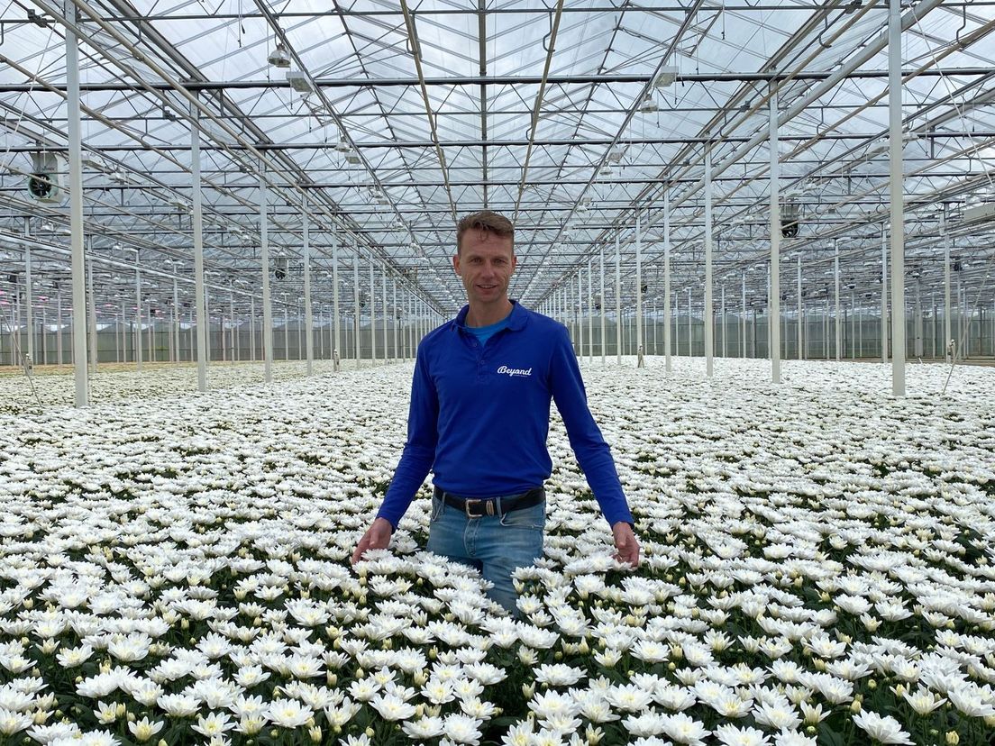 Chrystantenkweker Wouter Duijvesteijn