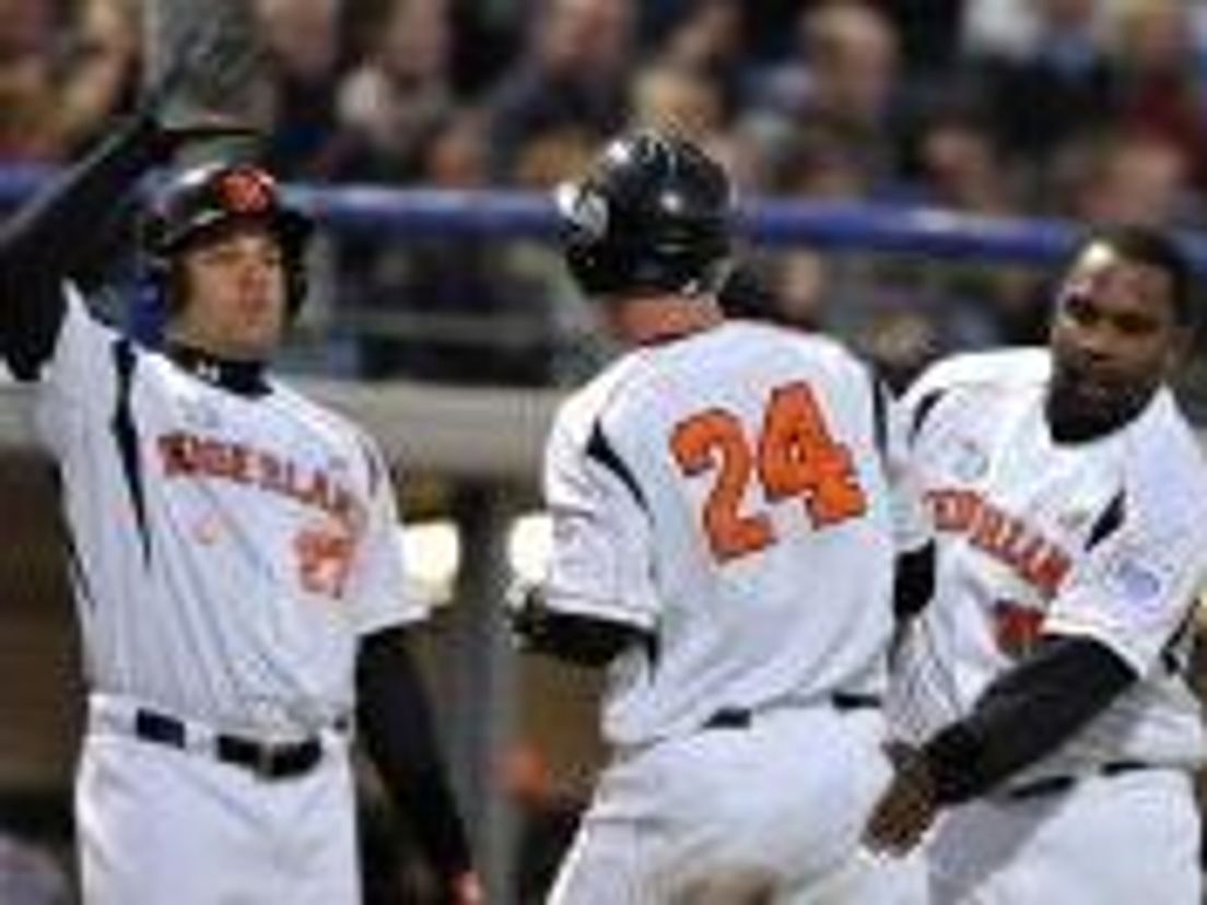 oranjehonkbal.cropresize.tmp.jpg