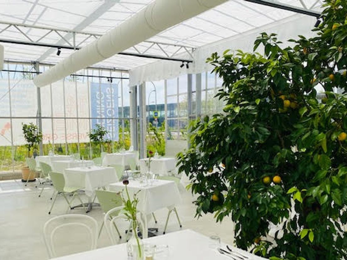 Café Clementine