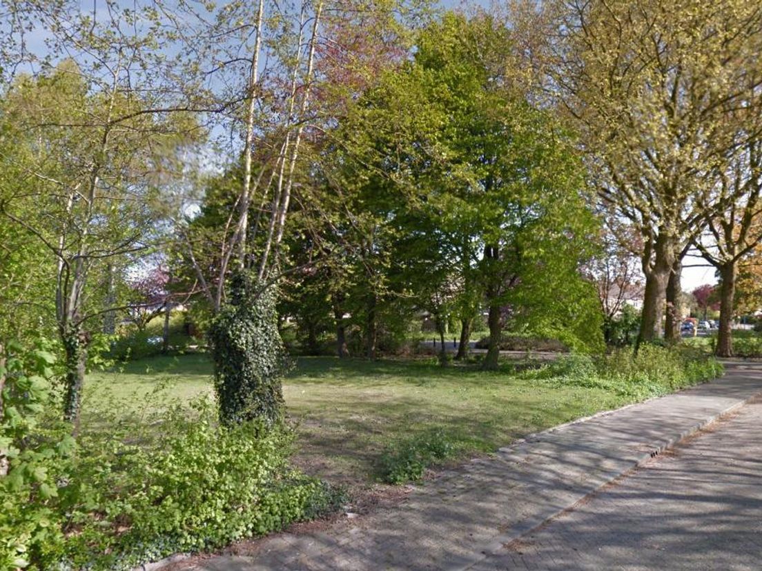 Geen woonunits in het gebied rond het Prunusplantsoen in Ridderkerk (foto Google Streetview)