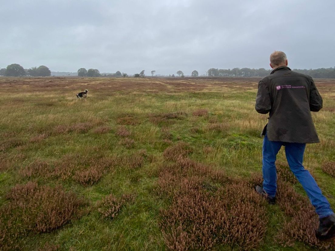 Het Holtingerveld, waar nog restanten van het werkkamp te vinden zijn