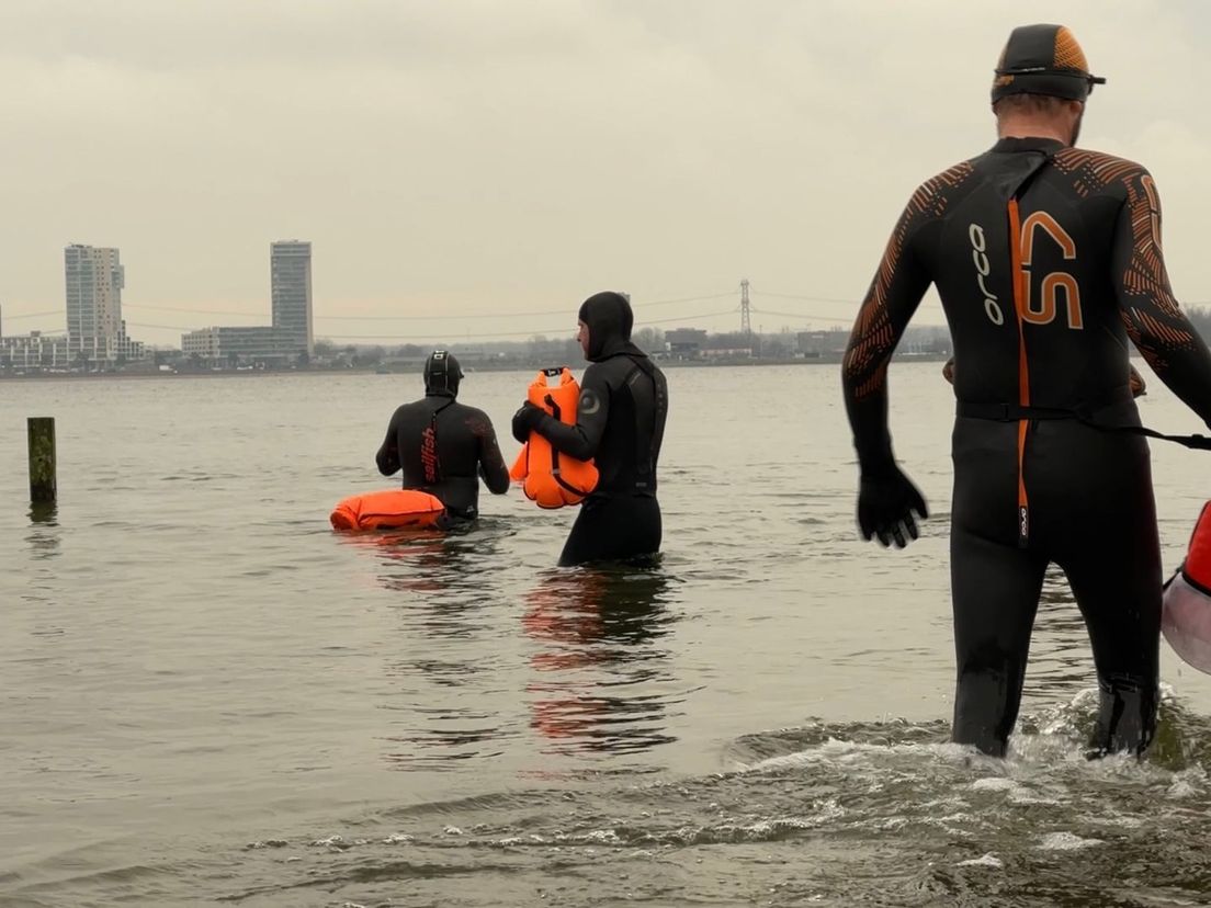 De kick van zwemmen in de Zevenhuizerplas "Hier is helemaal niemand, heerlijk !