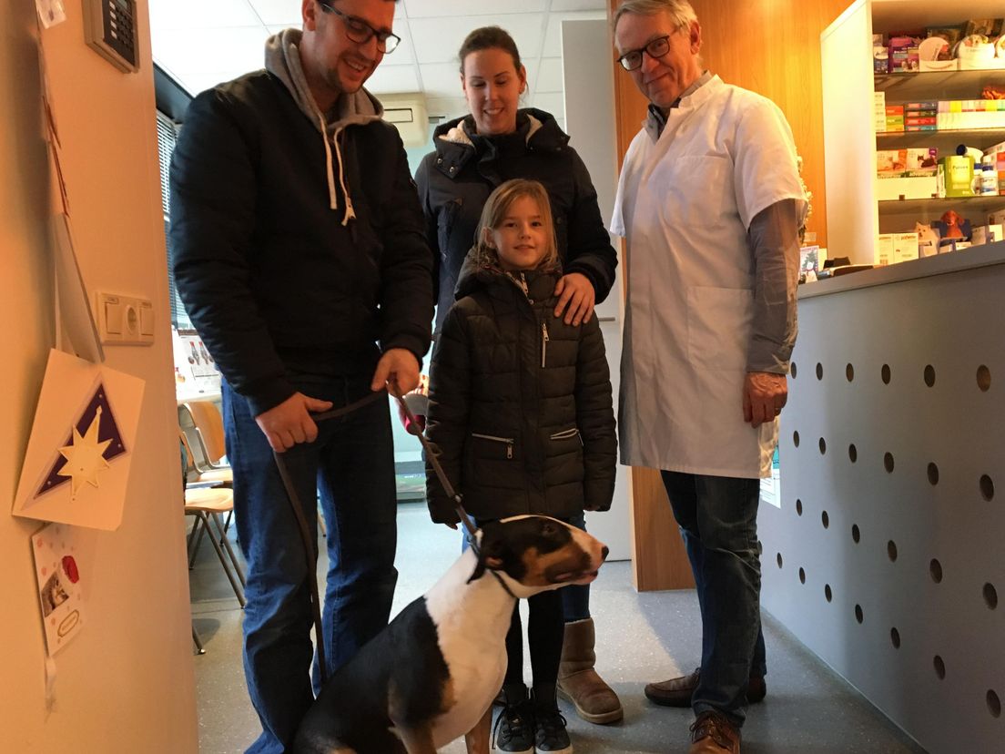 Dierenarts Jan Schep geeft oudejaarstips aan hondenbezitters die thuis blijven